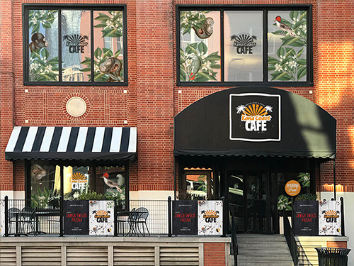 Folia szroniona Toruń